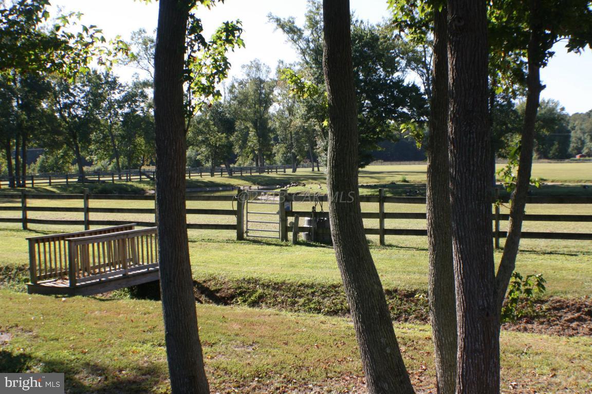 12645 Collins Road Bishopville, MD 21813 - Photo 8 of 37 Gallery Image 8