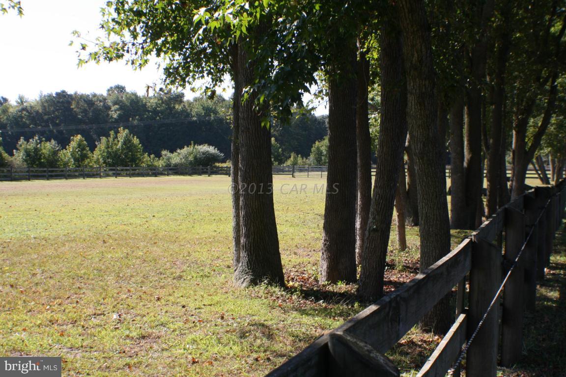 12645 Collins Road Bishopville, MD 21813 - Photo 9 of 37 Gallery Image 9