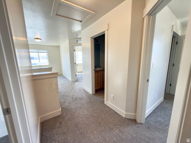 1823 South Longview Road Santaquin, UT 84655 - Photo 45 of 69 Light-toned carpeted hallway featuring neutral wall paint, white trim, and multiple doorways