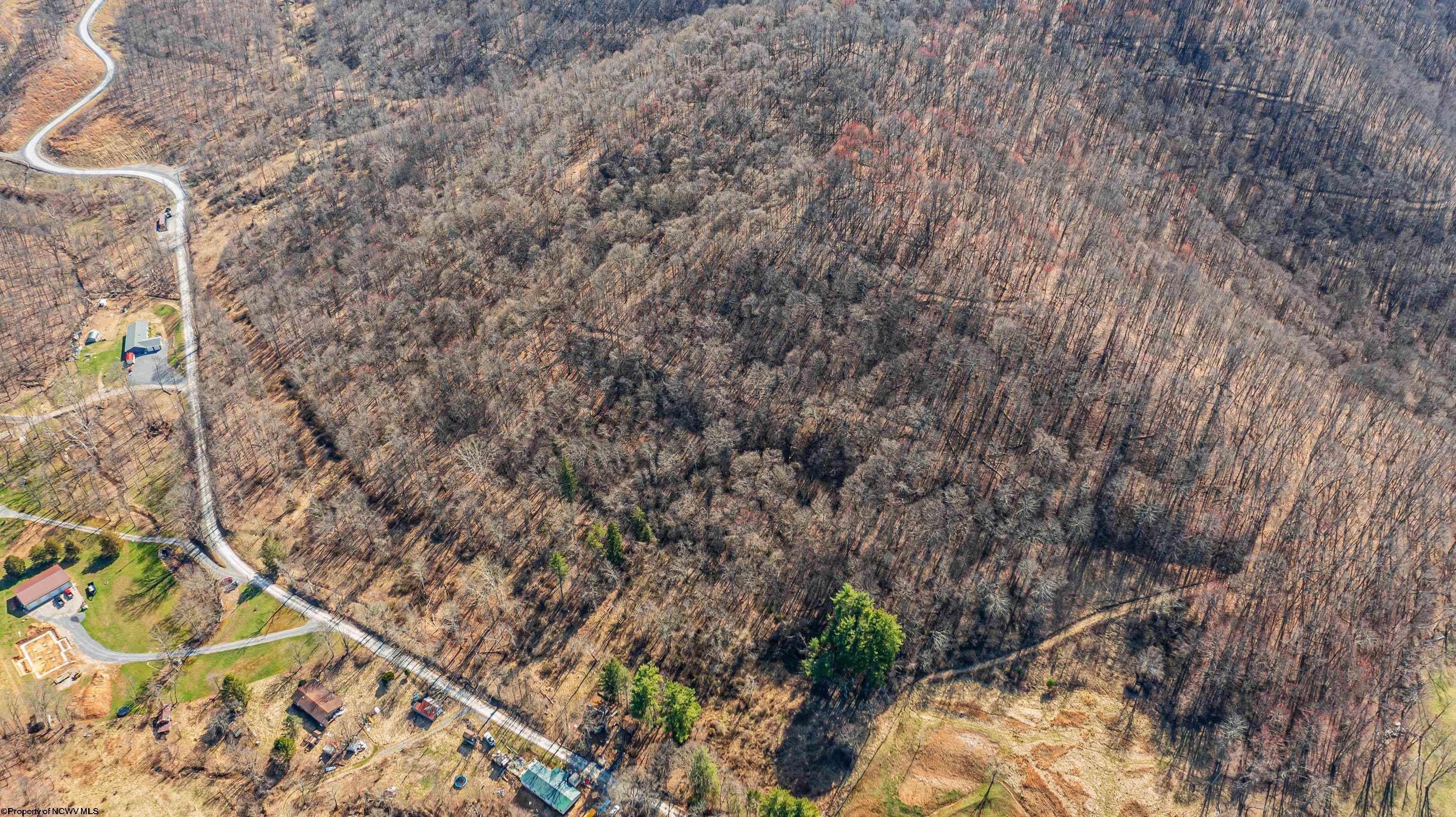 Tbd Mount Harmon Road Fairview, WV 26570 - Photo 5 of 11 Gallery Image 5