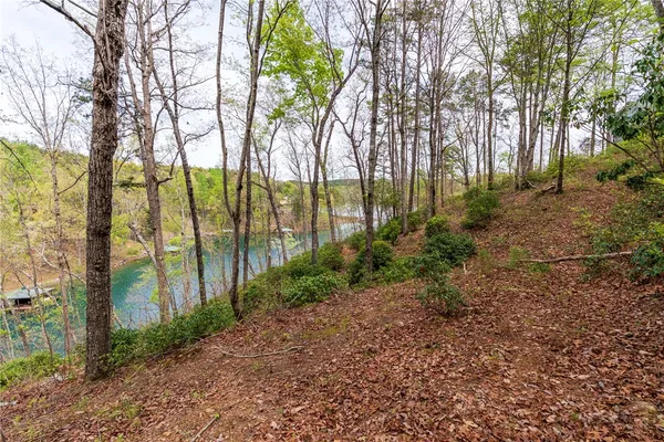 $1,199,000 | Lot 4 Bentwood Way, Salem, SC 29676