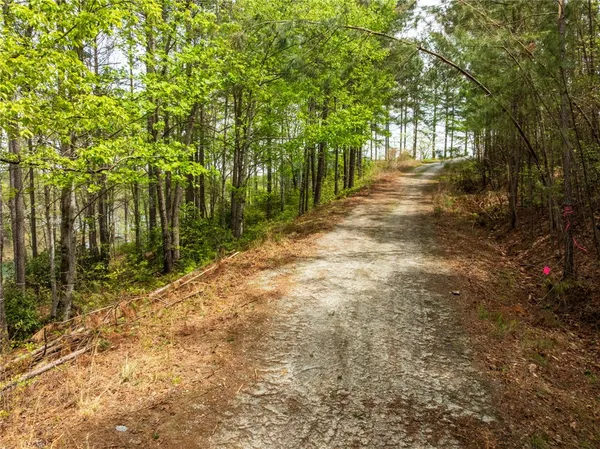 $1,199,000 | Lot 4 Bentwood Way, Salem, SC 29676