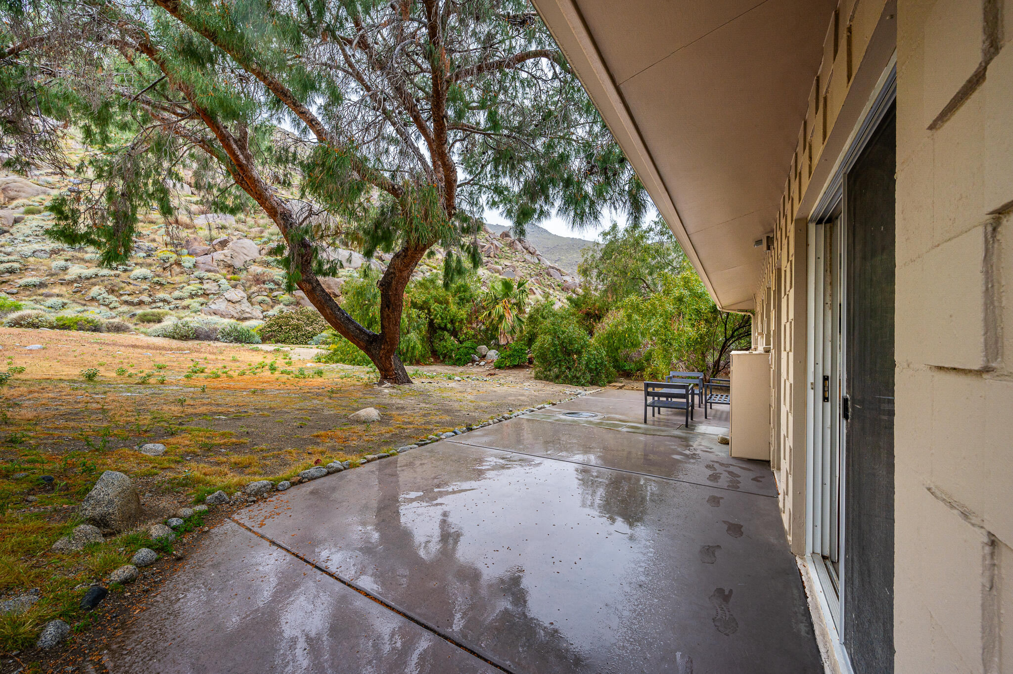 15971 Snowcreek Canyon Road Whitewater, CA 92282 - Photo 22 of 45 a view of a yard with a tree