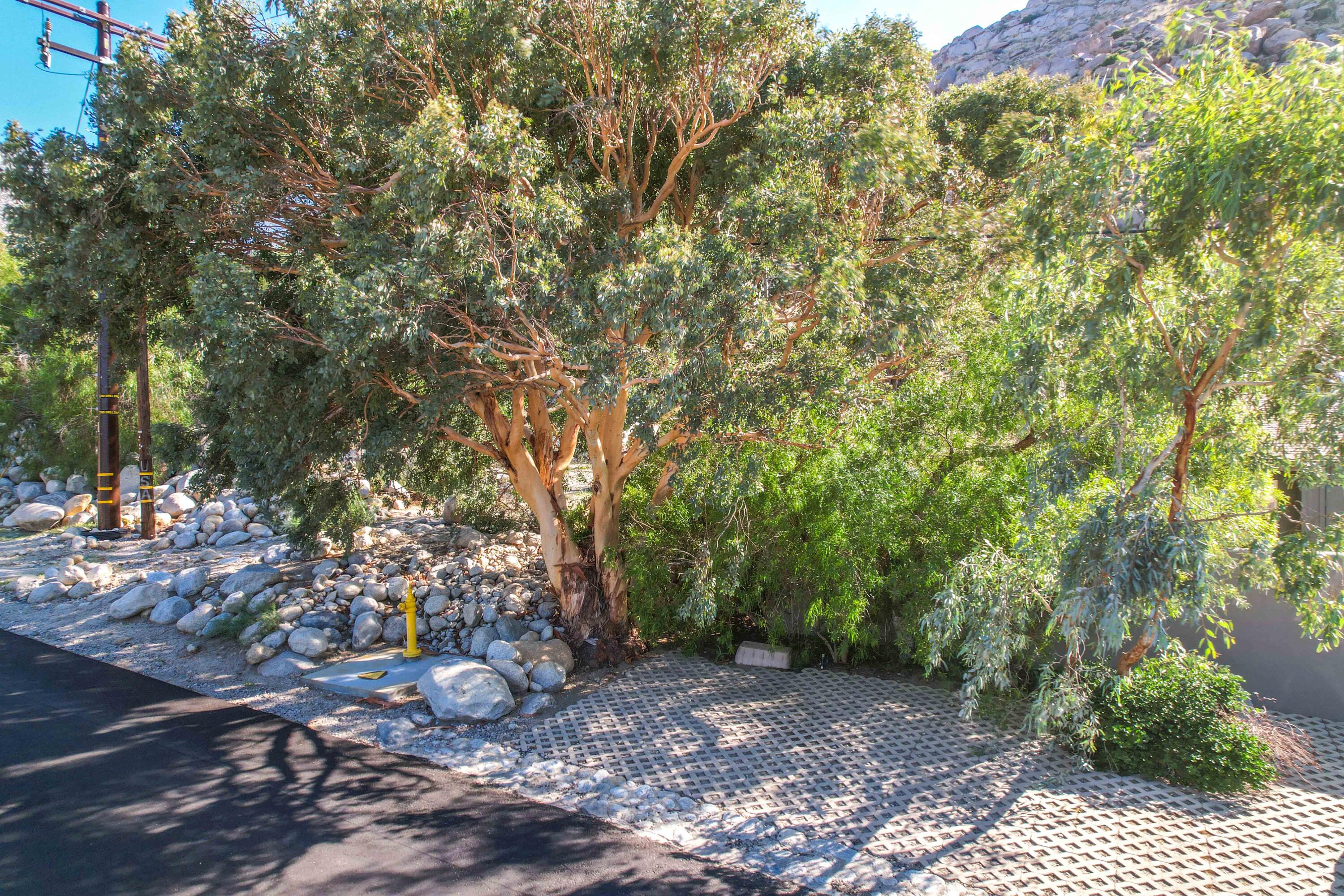 15971 Snowcreek Canyon Road Whitewater, CA 92282 - Photo 26 of 45 a view of backyard with green space