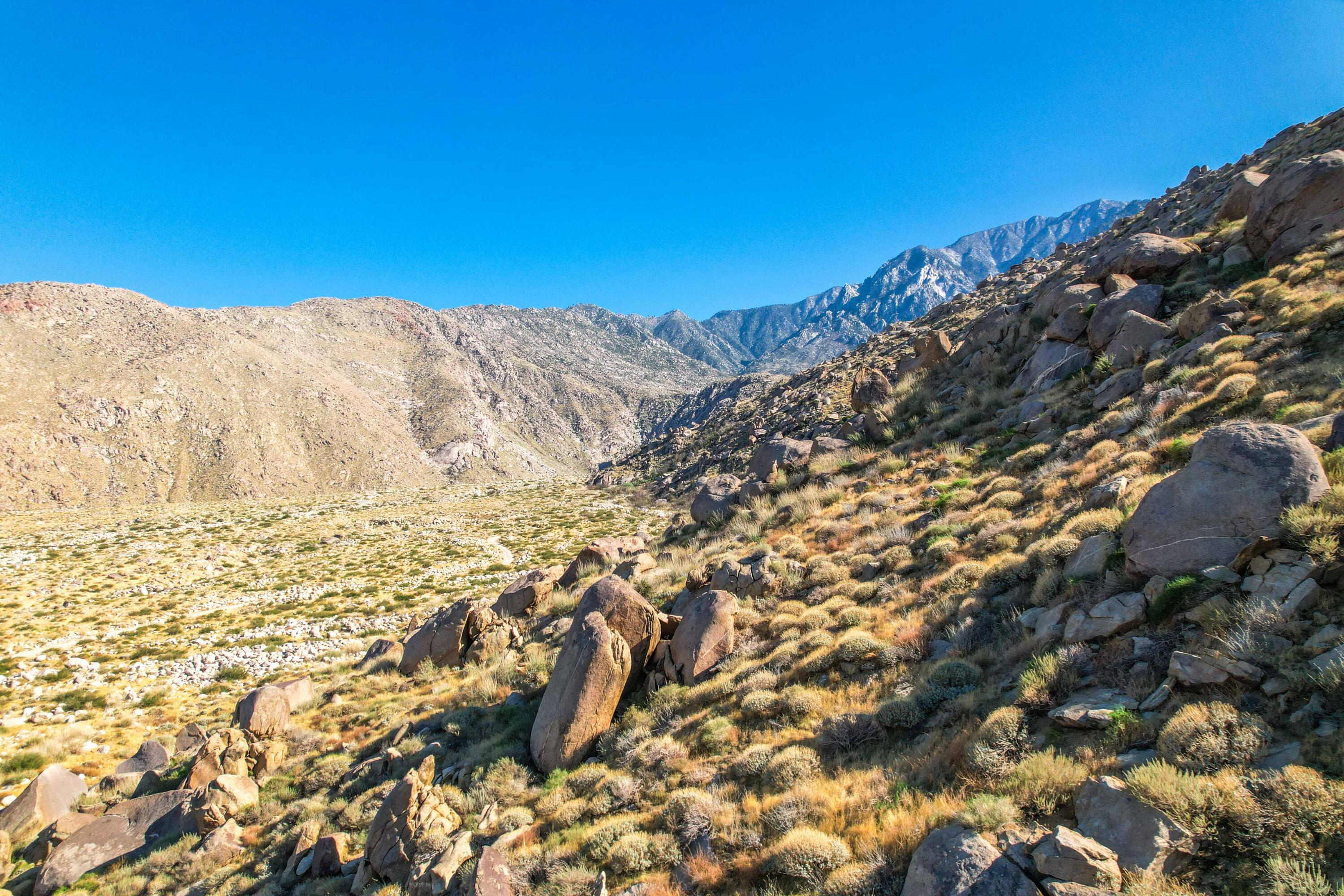 15971 Snowcreek Canyon Road Whitewater, CA 92282 - Photo 31 of 45 a view of a dry yard with mountains in the background