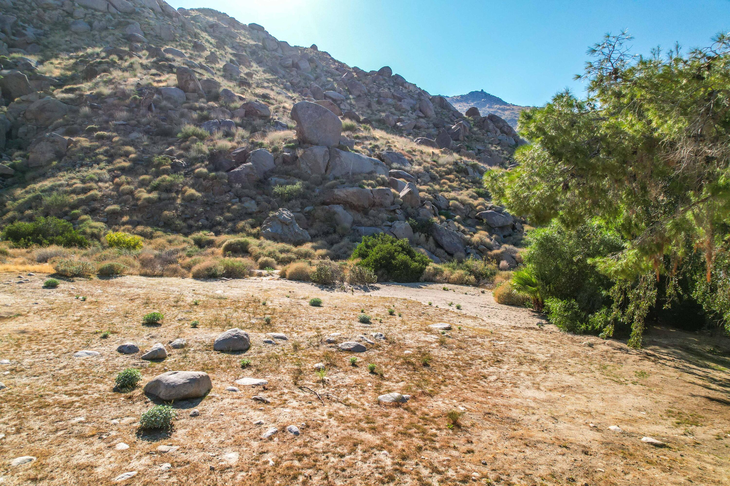 15971 Snowcreek Canyon Road Whitewater, CA 92282 - Photo 43 of 45 a view of a yard with snow on the road
