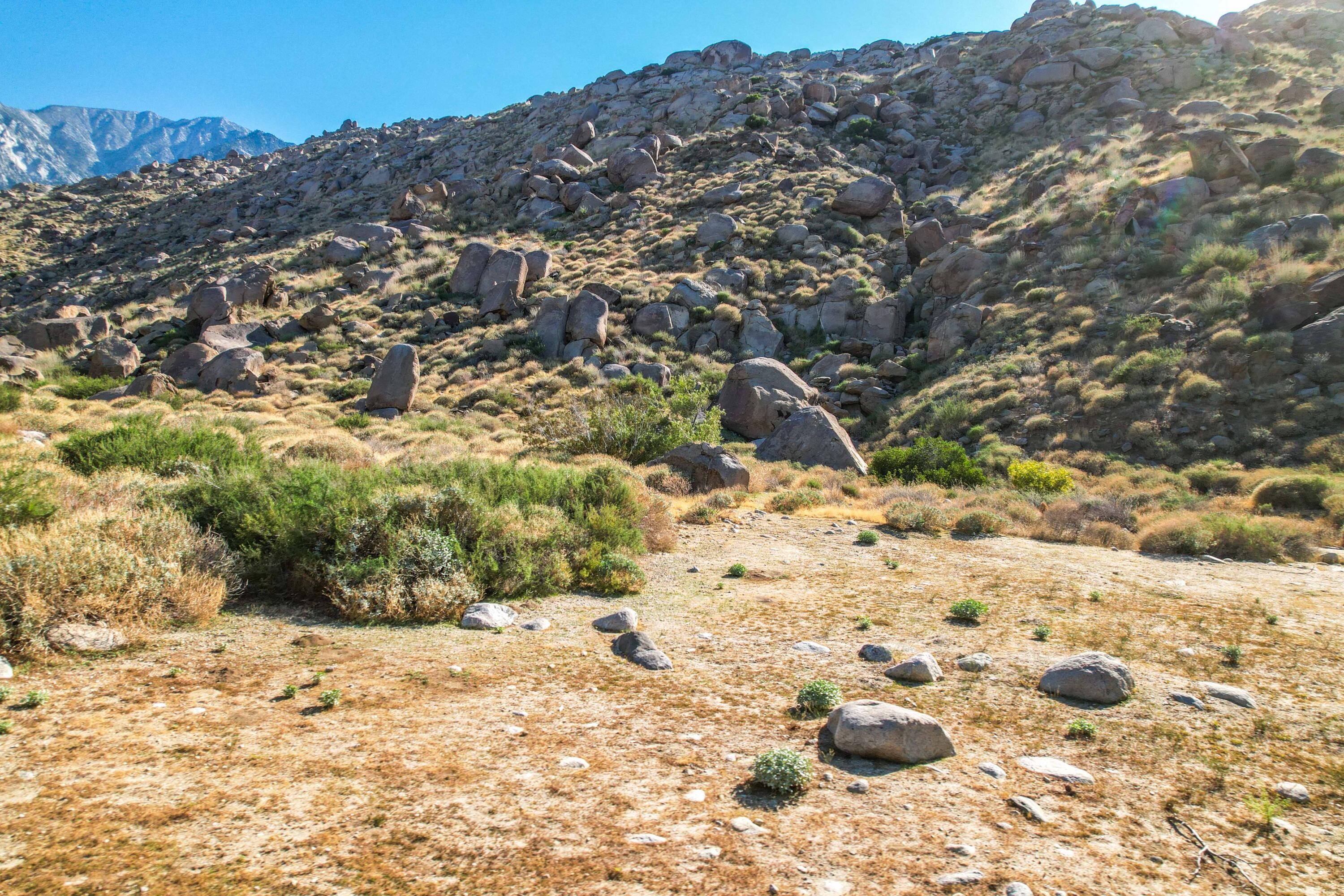 15971 Snowcreek Canyon Road Whitewater, CA 92282 - Photo 44 of 45 a view of a yard with snow on the road