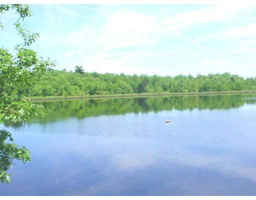 35 Birch Hill Road Bridgewater, MA 02767 - Photo 6 of 20 Gallery Image 6