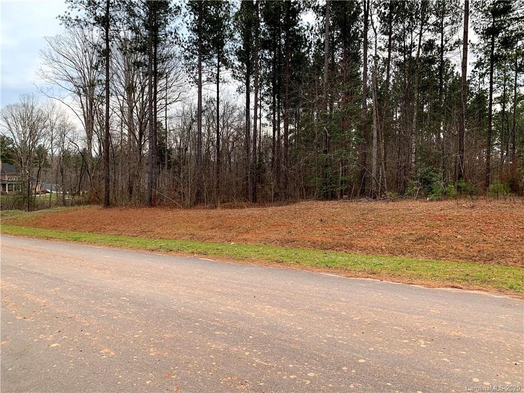 616 Top Ridge Lane, Unit 41 Clover, SC 29710 - Photo 11 of 16 Gallery Image 11