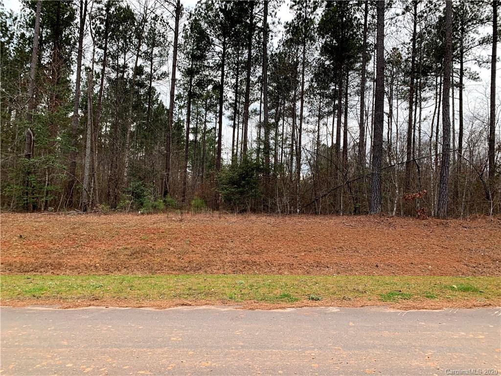 616 Top Ridge Lane, Unit 41 Clover, SC 29710 - Photo 12 of 16 Gallery Image 12
