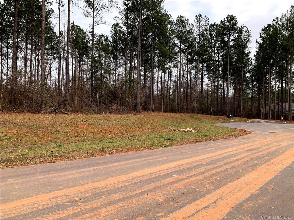 616 Top Ridge Lane, Unit 41 Clover, SC 29710 - Photo 3 of 16 Gallery Image 3