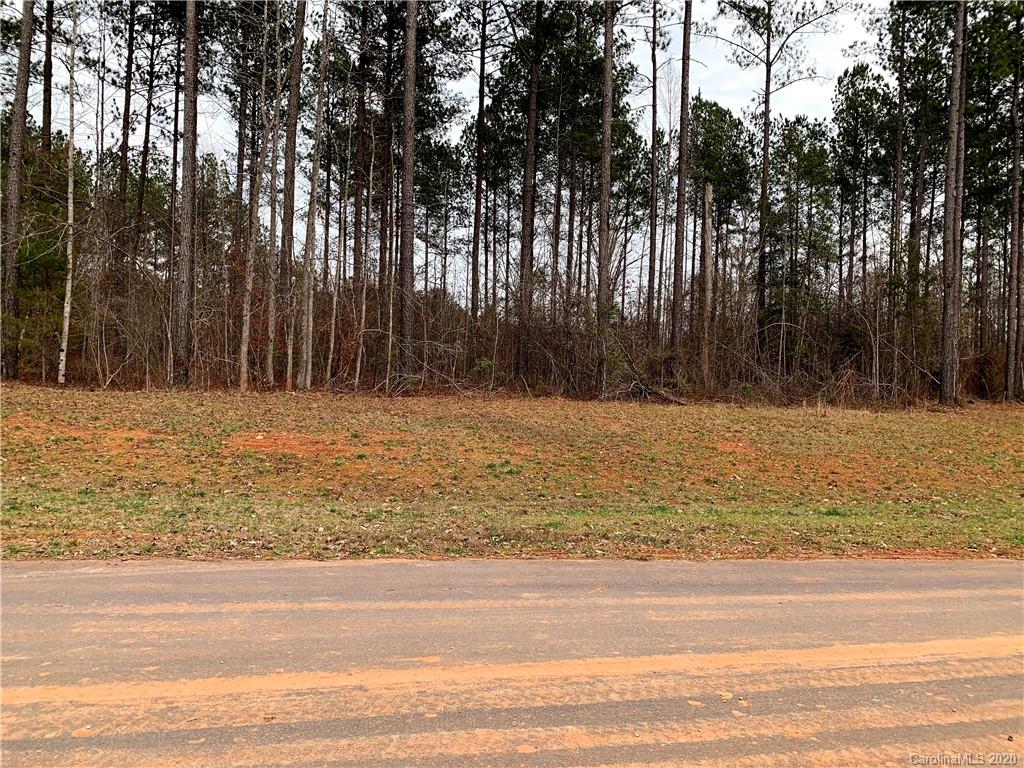616 Top Ridge Lane, Unit 41 Clover, SC 29710 - Photo 4 of 16 Gallery Image 4