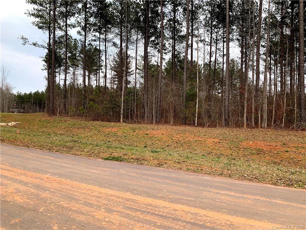 616 Top Ridge Lane, Unit 41 Clover, SC 29710 - Photo 5 of 16 Gallery Image 5