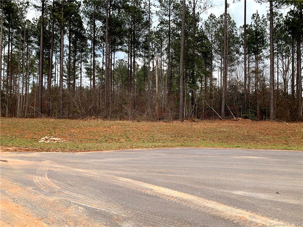 616 Top Ridge Lane, Unit 41 Clover, SC 29710 - Photo 7 of 16 Gallery Image 7