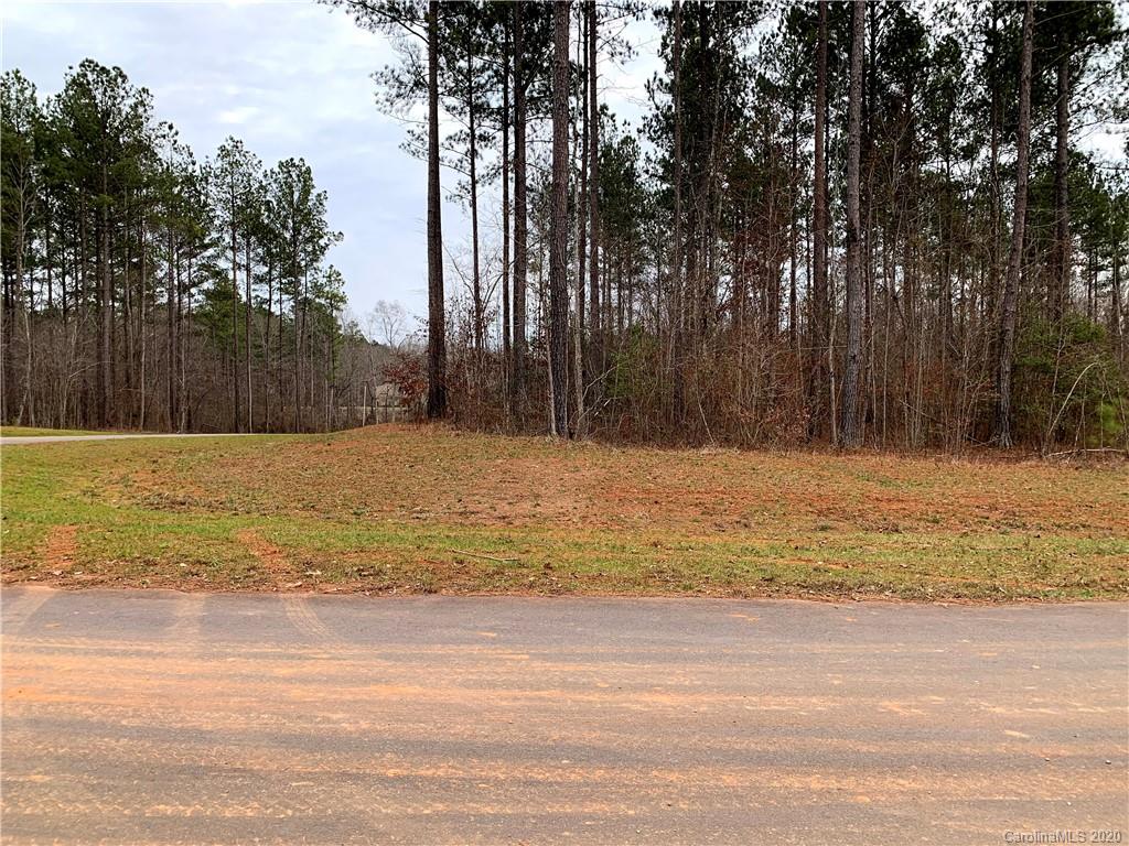 616 Top Ridge Lane, Unit 41 Clover, SC 29710 - Photo 8 of 16 Gallery Image 8