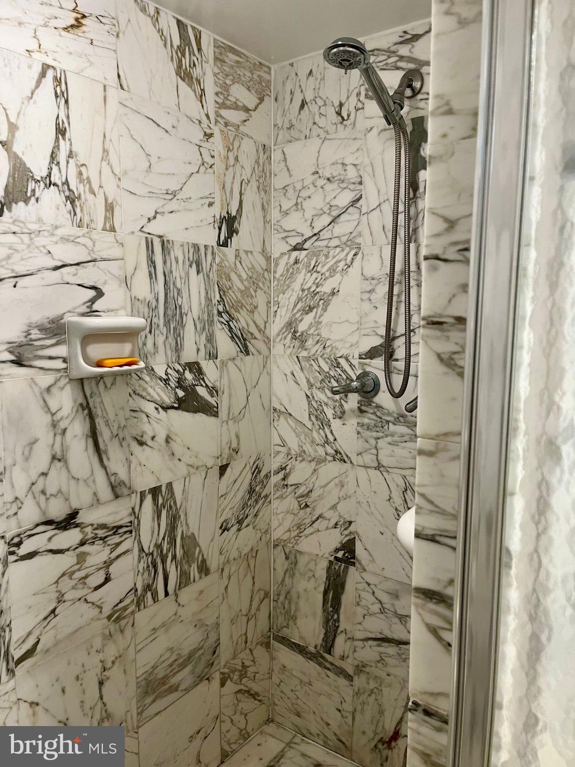 1101 South Arlington Ridge Road, Unit 305 Arlington, VA 22202 - Photo 24 of 51 With separate shower