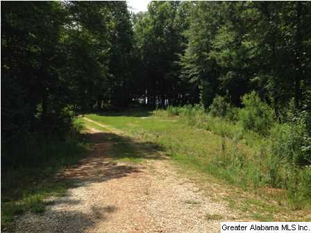 New Harmony Road, Unit 2 Lineville, AL 36266 - Photo 15 of 16