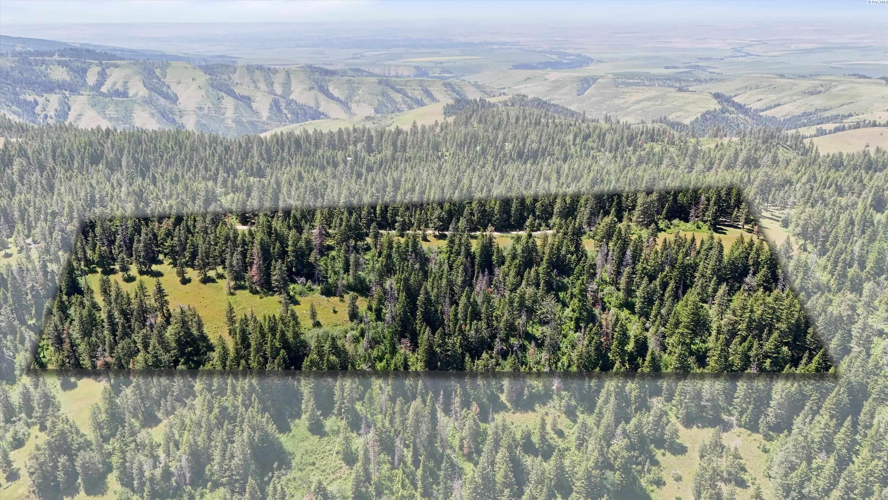 Unk20 Blacksnake Ridge Road Walla Walla, WA 99362 - Photo 2 of 41 Gallery Image 2