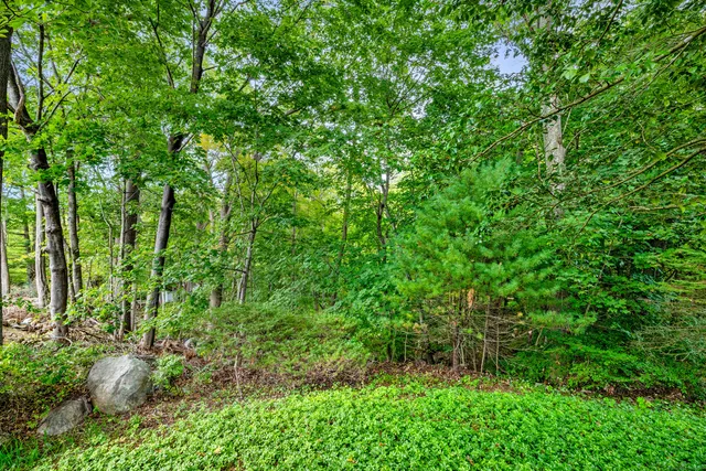 a front view of a house with a yard and an trees