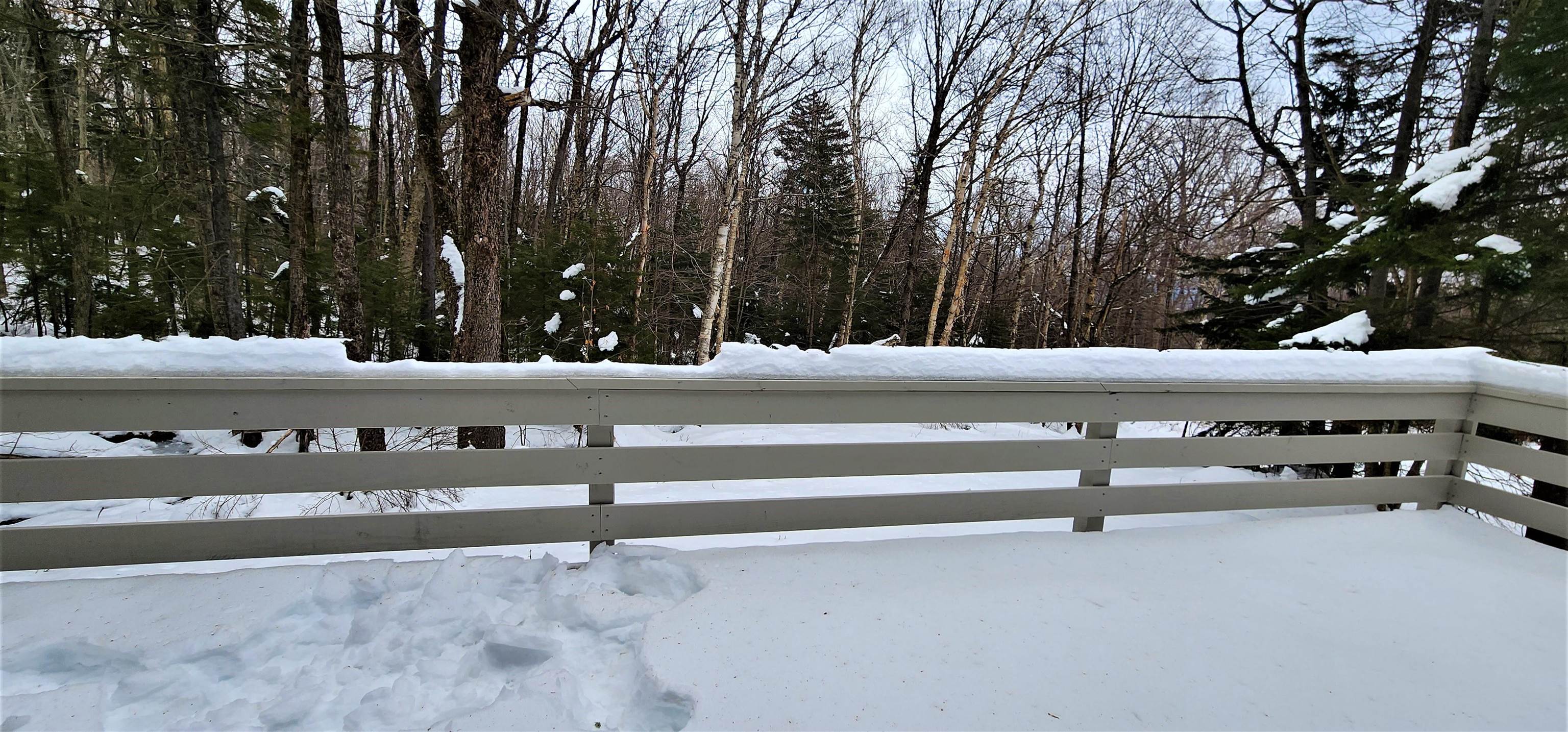 12 Snow Shoe Road Wilmington, VT 05363 - Photo 4 of 27 Gallery Image 4