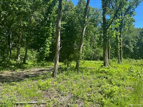 44735 Dunn Road Belleville, MI 48111 - Photo 4 of 4