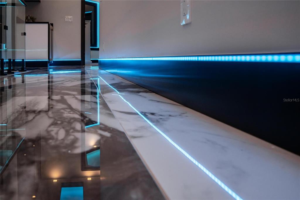 6536 Simone Shores Circle Apollo Beach, FL 33572 - Photo 80 of 94