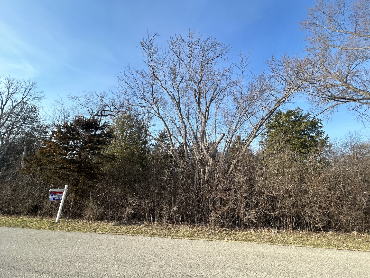 Lot 16 Harding Avenue Richmond, IL 60071 - Photo 3 of 3