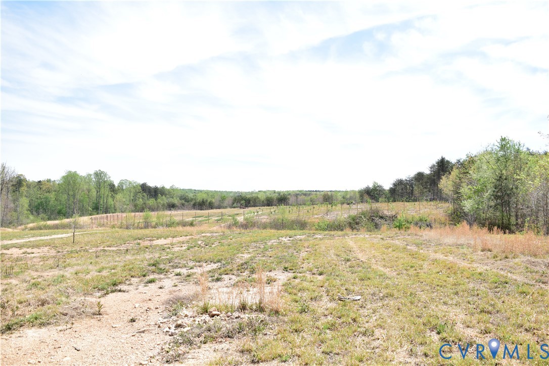 1075 Freshwater Creek Road Mineral, VA 23117 - Photo 10 of 16