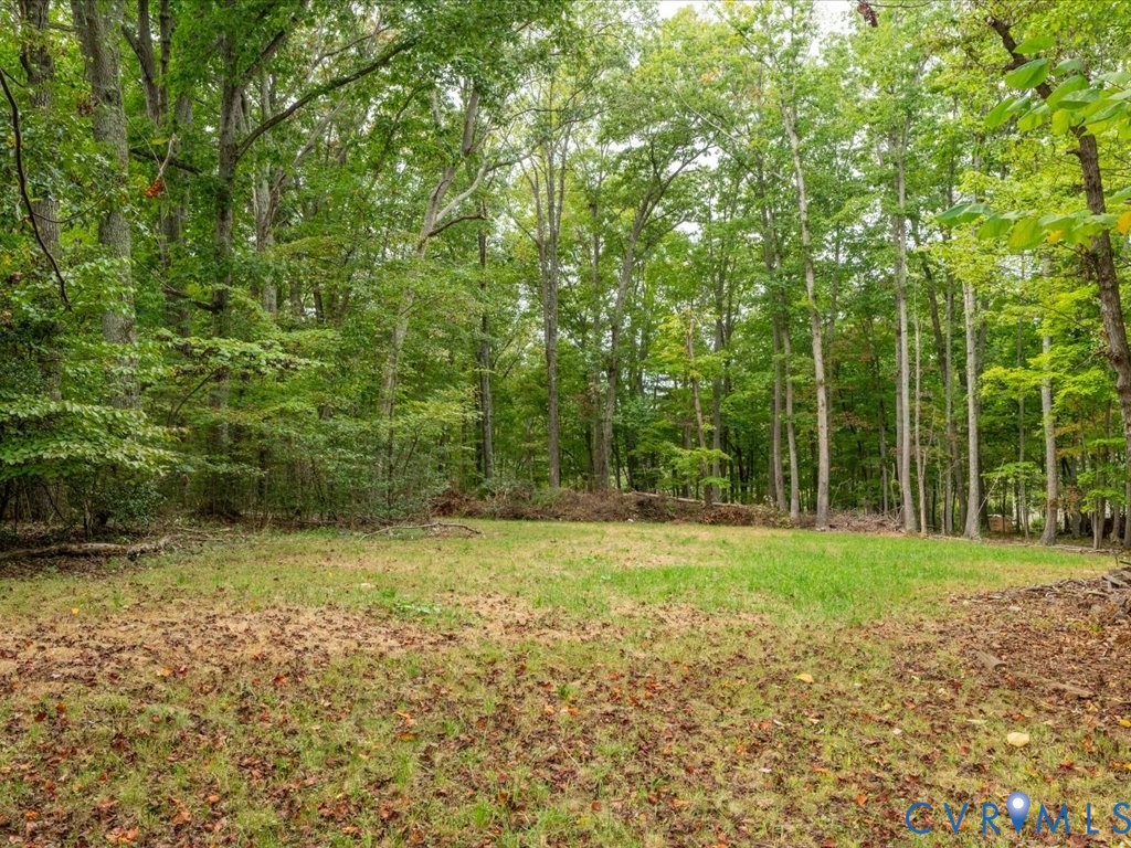 7068 Porters Road Esmont, VA 22937 - Photo 34 of 37 a view of a field with a tree