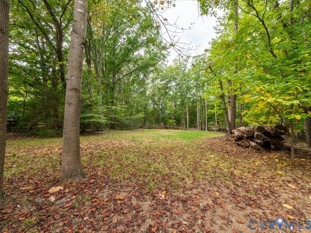 7068 Porters Road Esmont, VA 22937 - Photo 35 of 37