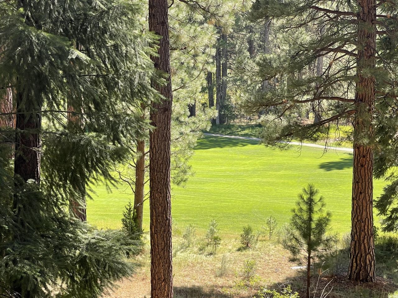 180 Saddle Ridge Road Clio, CA 96106 - Photo 4 of 38 Gallery Image 4