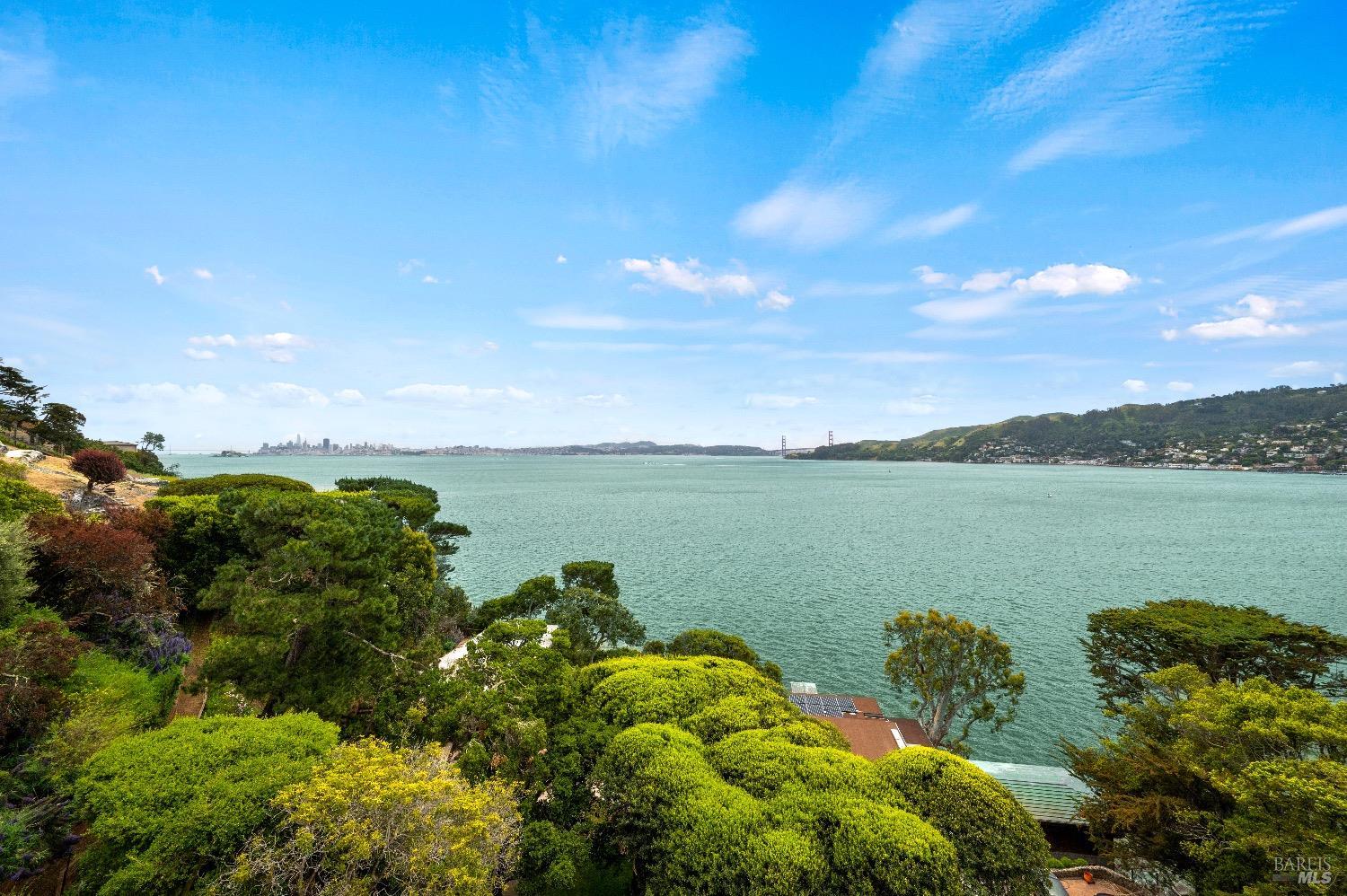 337 Belvedere Avenue Belvedere, CA 94920 - Photo 49 of 68