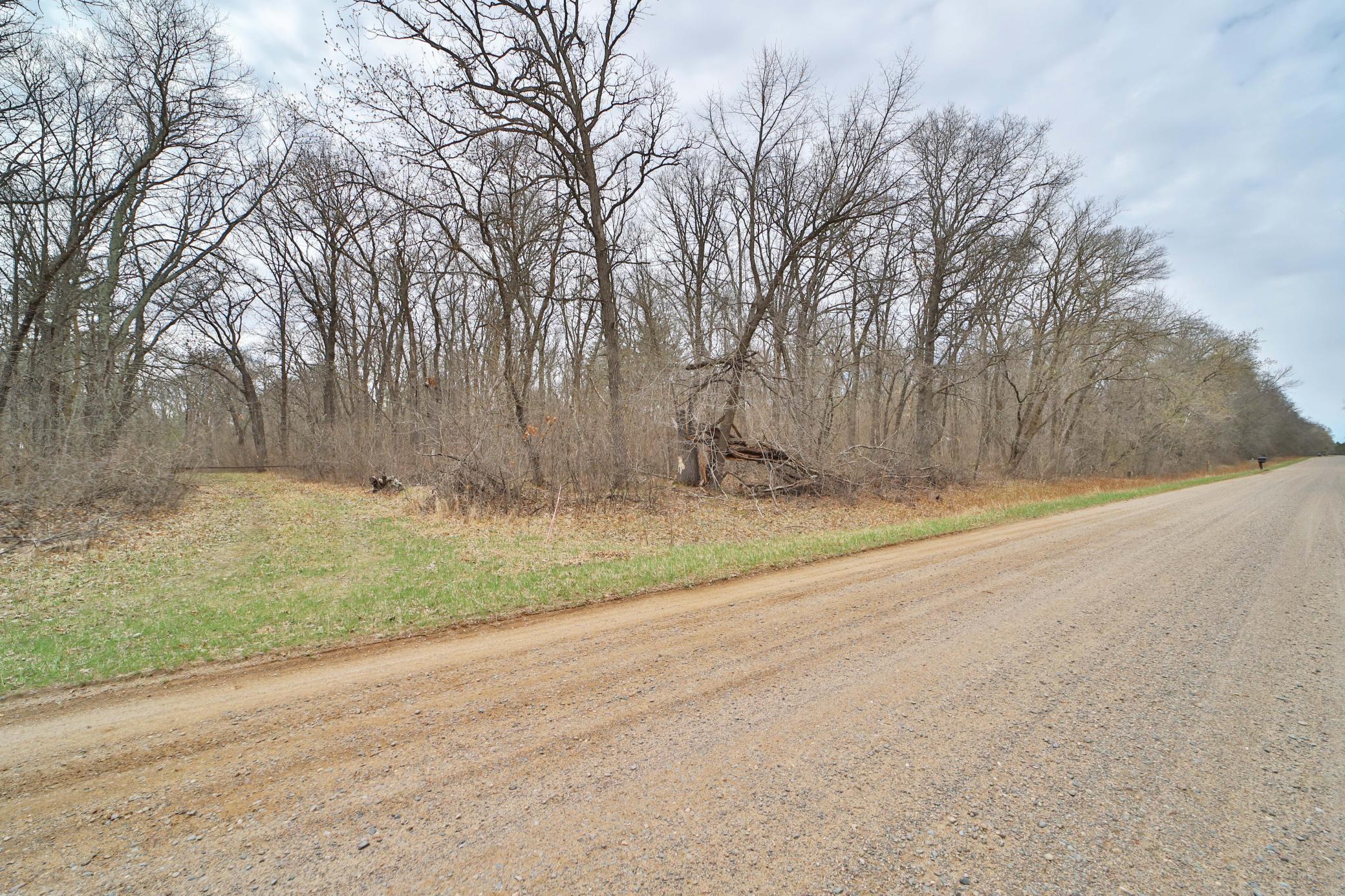 Tbd Bedow Road Fort Ripley, MN 56449 - Photo 1 of 1
