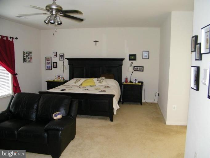 38693 Rambling Farm Drive Hamilton, VA 20158 - Photo 11 of 17 Master Bedroom