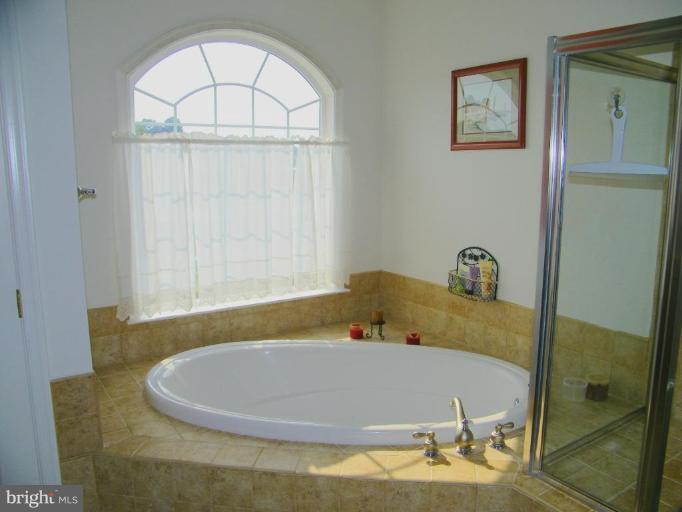 38693 Rambling Farm Drive Hamilton, VA 20158 - Photo 12 of 17 Master Bath