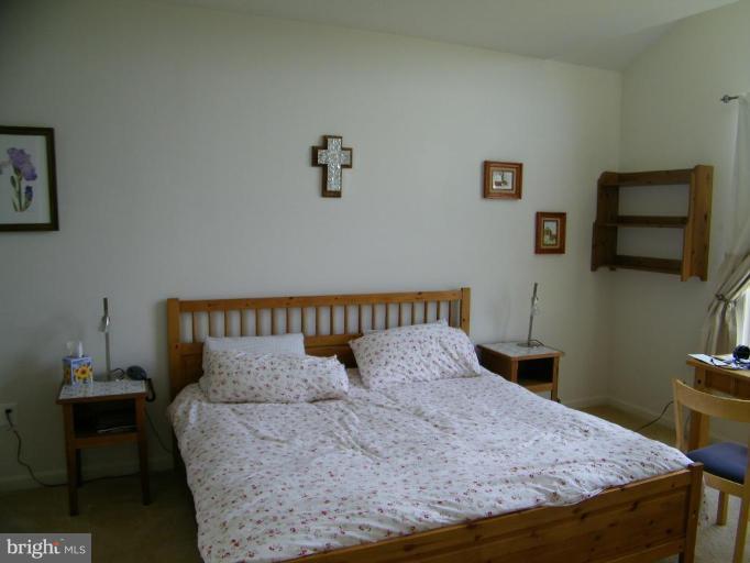38693 Rambling Farm Drive Hamilton, VA 20158 - Photo 13 of 17 Bedroom #2