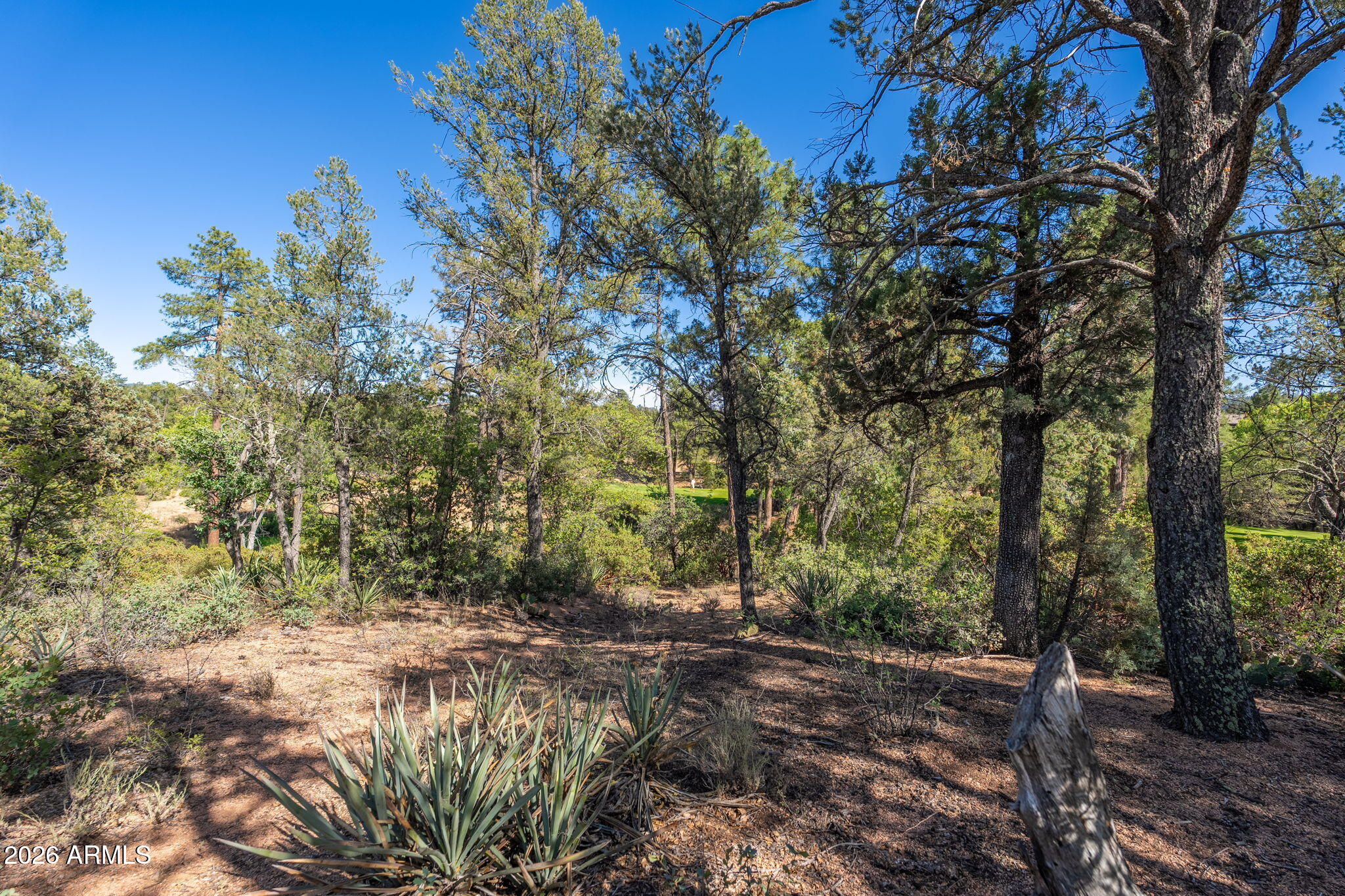 506 South Primeval, Unit 79 Payson, AZ 85541 - Photo 42 of 48 506 S Primeval - 40