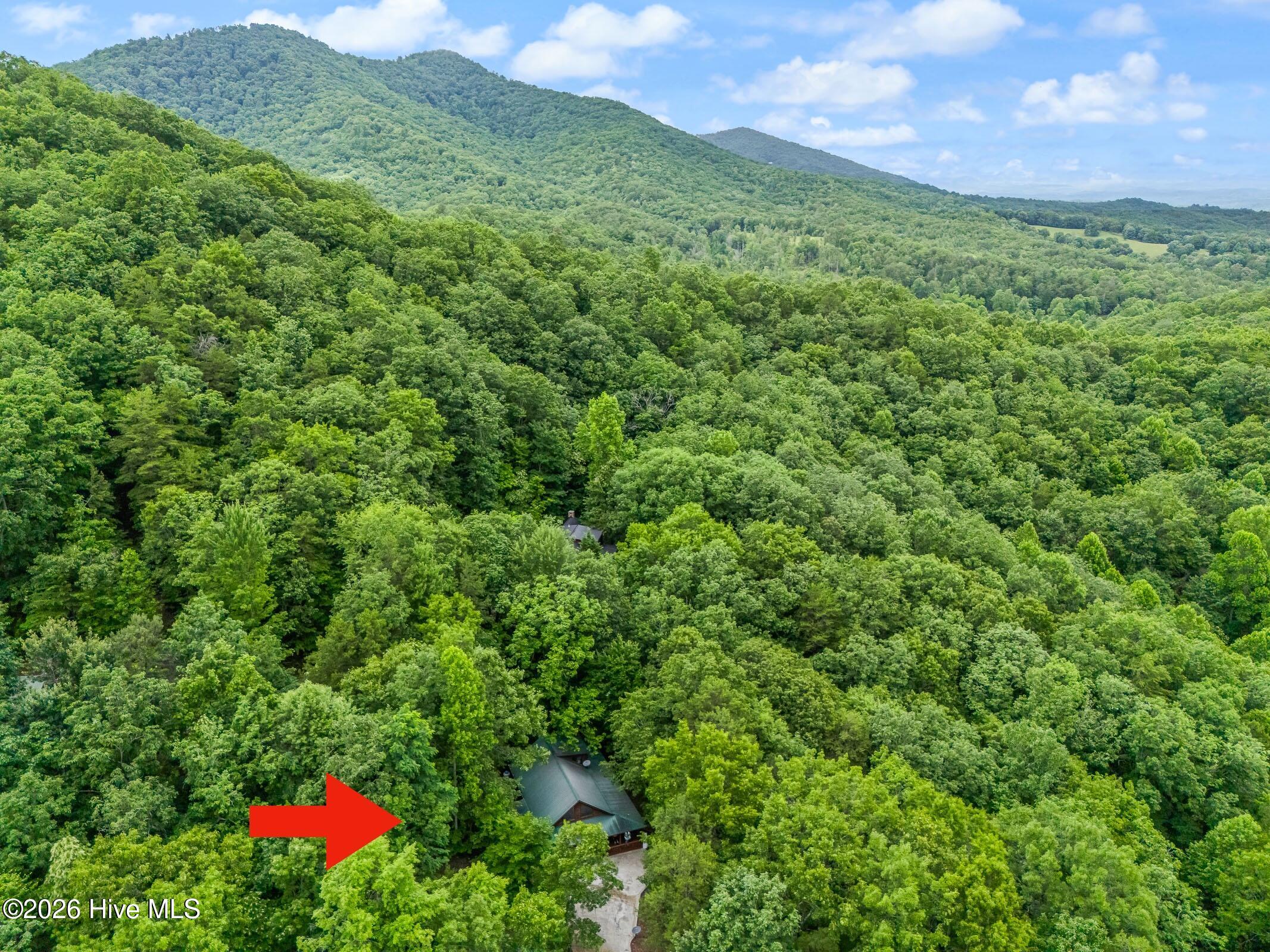 310 Ringtail Run Murphy, NC 28906 - Photo 62 of 64