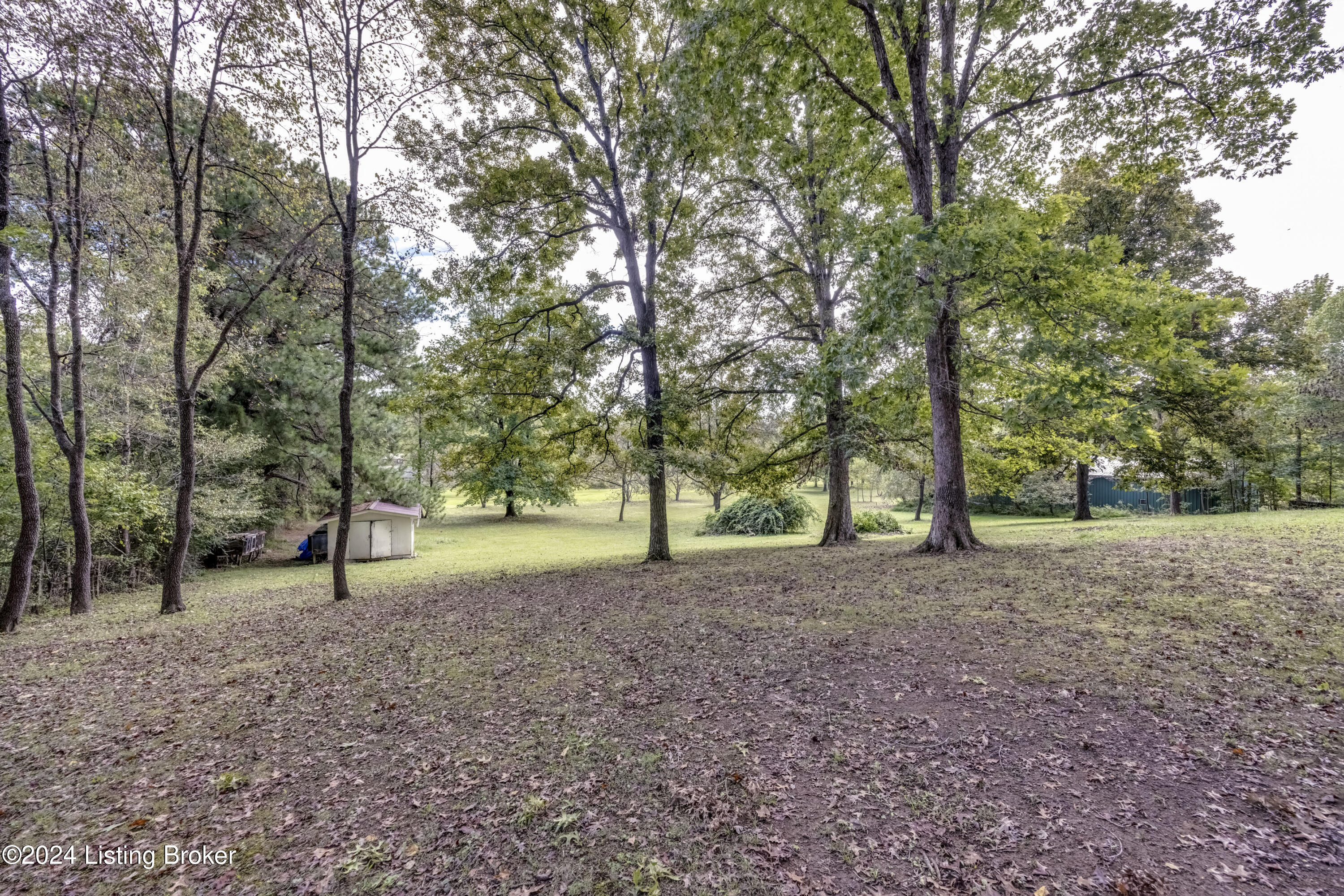 128 Marilyn Road Lebanon Junction, KY 40150 - Photo 13 of 48 2Y0A6520-A
