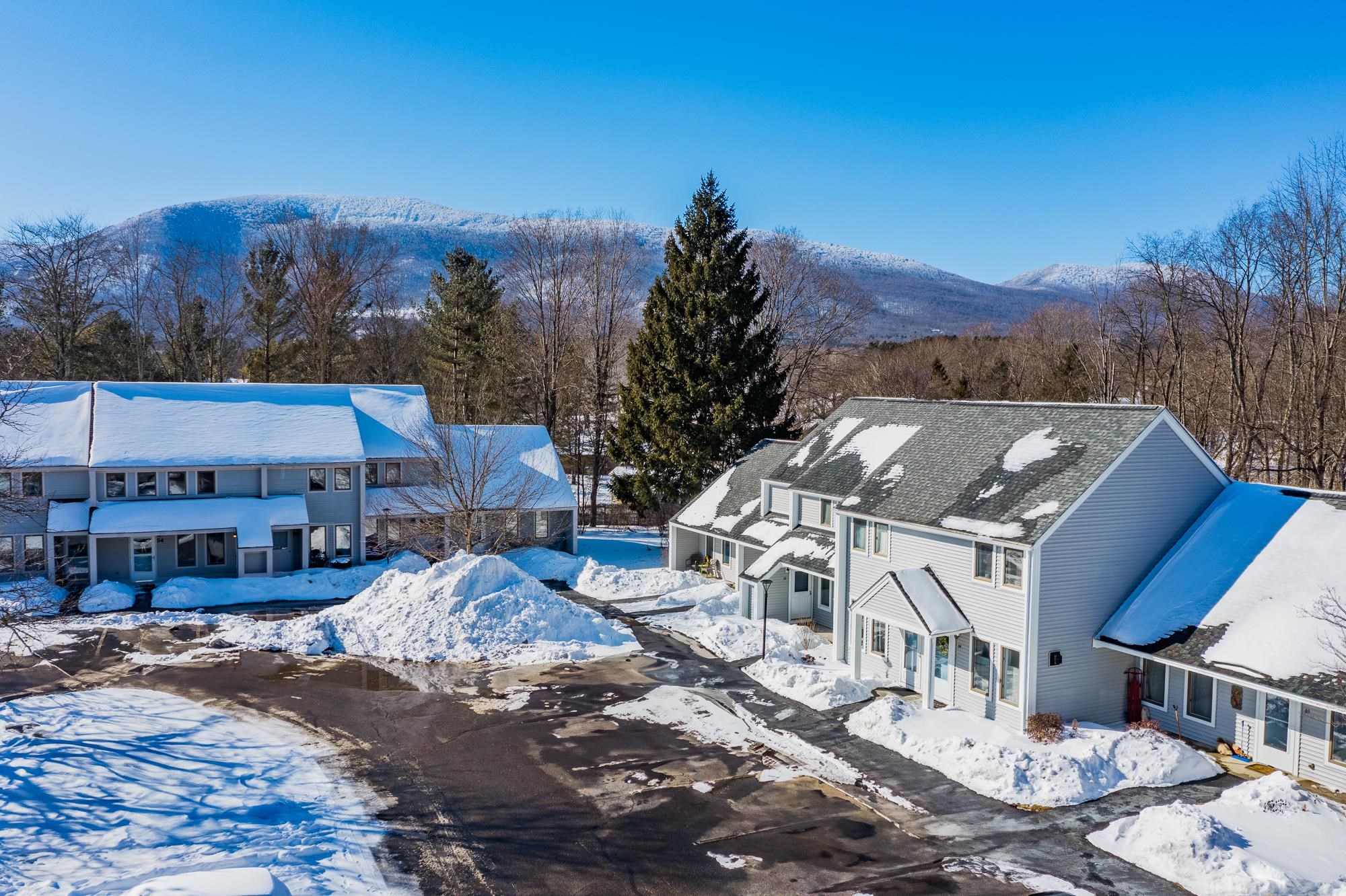 7564 Bourn Brook Road, Unit 64 Manchester Center, VT 05255 - Photo 25 of 33