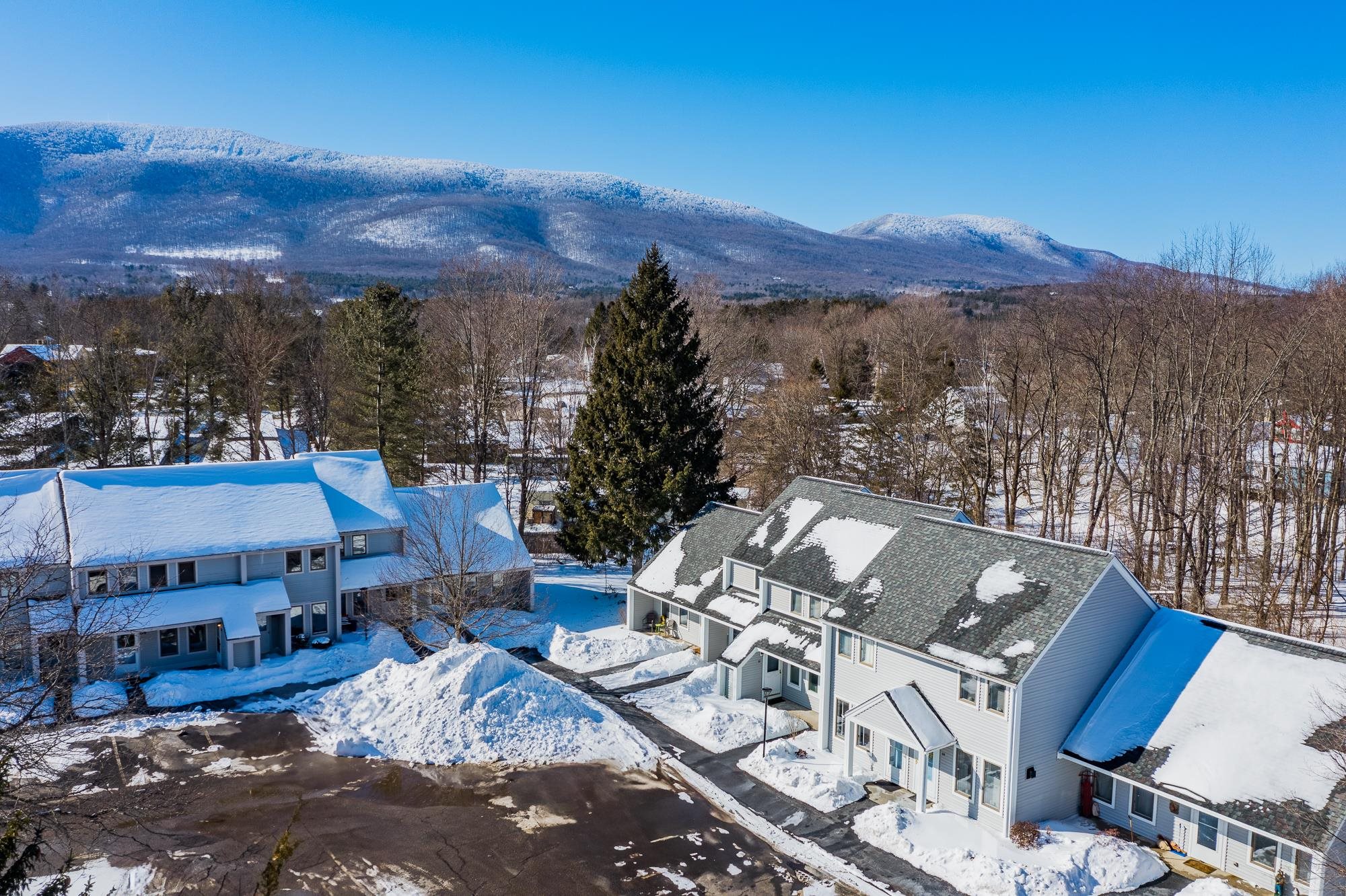 7564 Bourn Brook Road, Unit 64 Manchester Center, VT 05255 - Photo 26 of 33