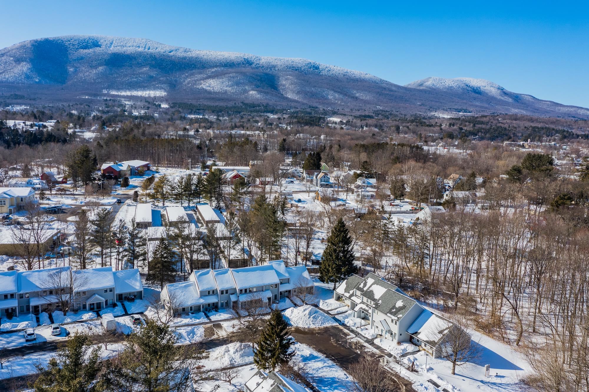 7564 Bourn Brook Road, Unit 64 Manchester Center, VT 05255 - Photo 27 of 33