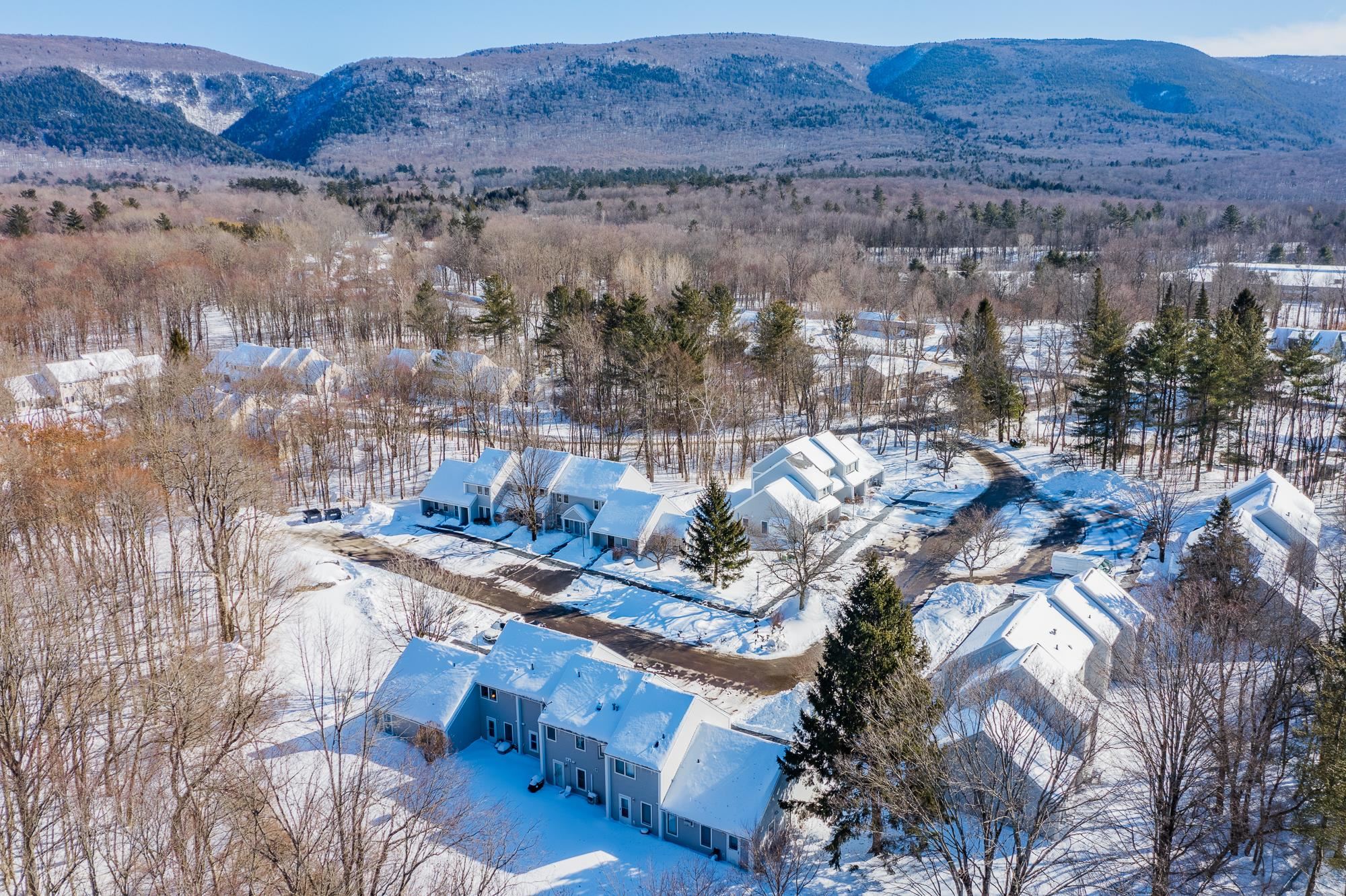 7564 Bourn Brook Road, Unit 64 Manchester Center, VT 05255 - Photo 30 of 33