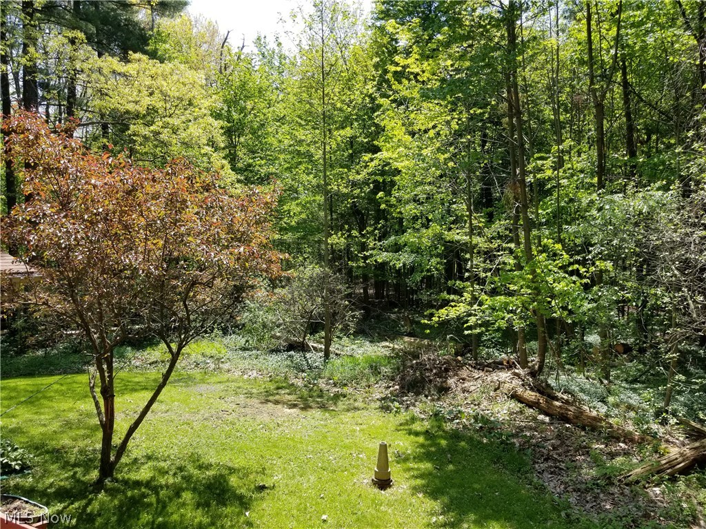 14107 Mayfield Road Huntsburg, OH 44046 - Photo 15 of 16 Gallery Image 15