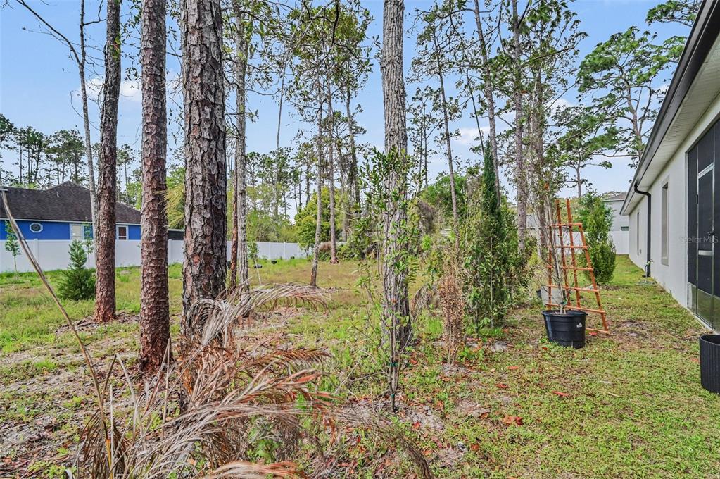 2740 Iris Road DeLand, FL 32724 - Photo 25 of 28 Gallery Image 25