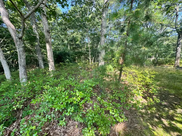 $809,000 | 7 Highland Avenue, Oak Bluffs, MA 02557