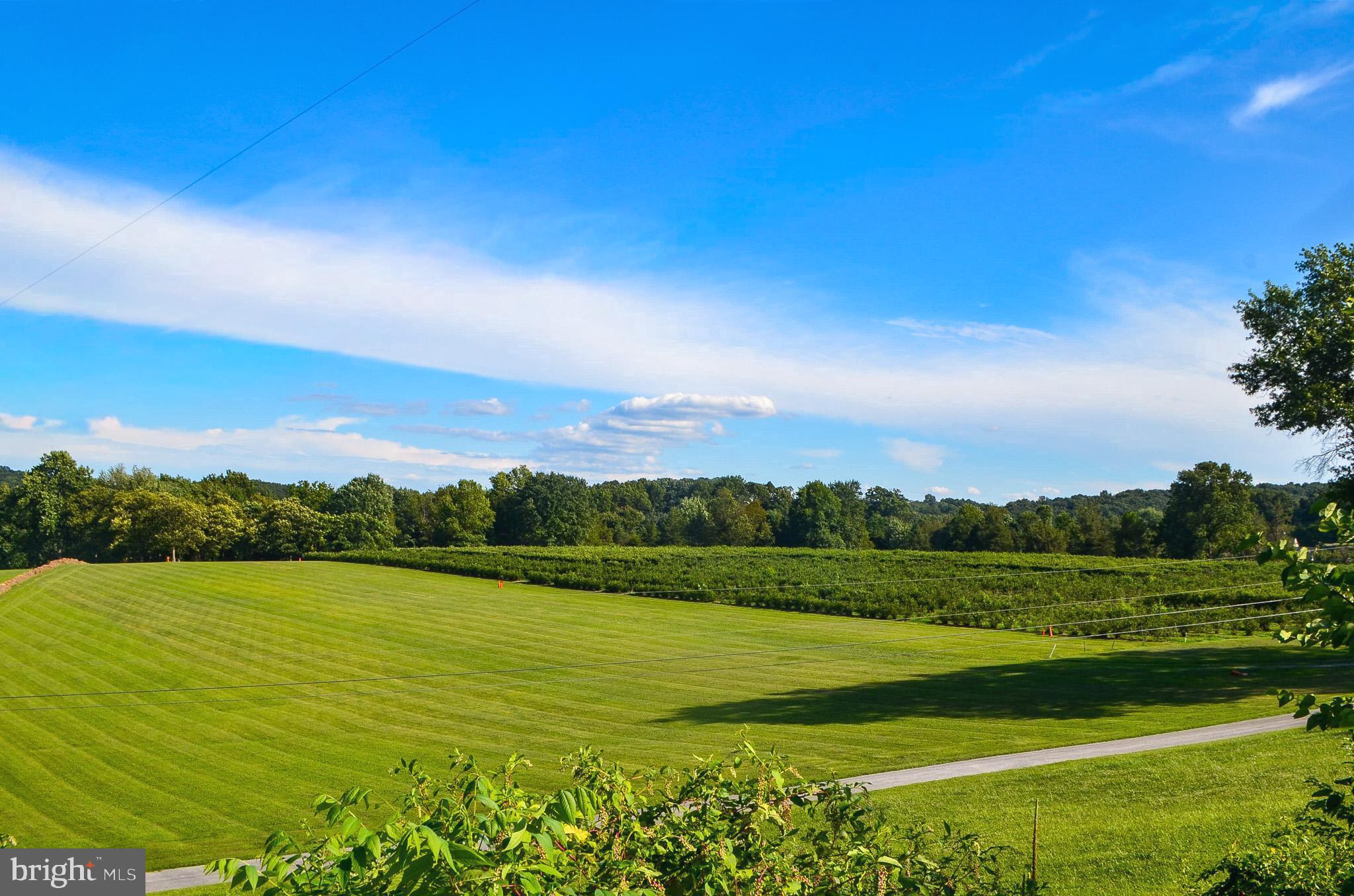 547 Heffner Road Red Lion, PA 17356 - Photo 20 of 75 Gallery Image 20