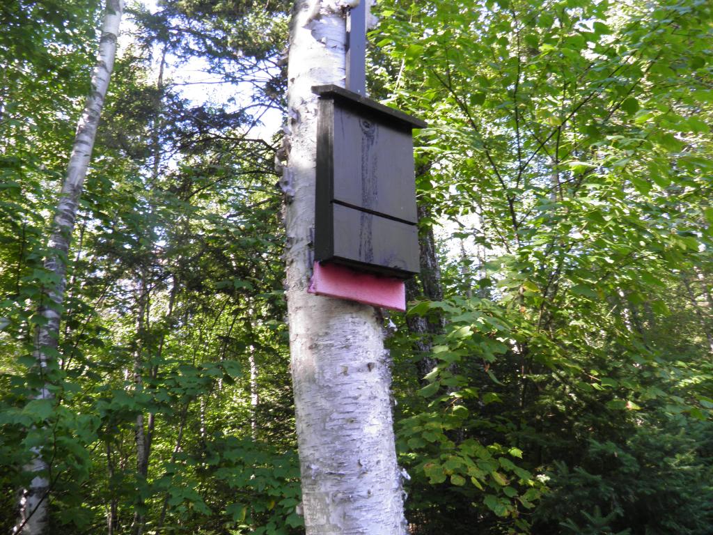 395 Old Duxbury Road Fayston, VT 05660 - Photo 12 of 24 Gallery Image 12
