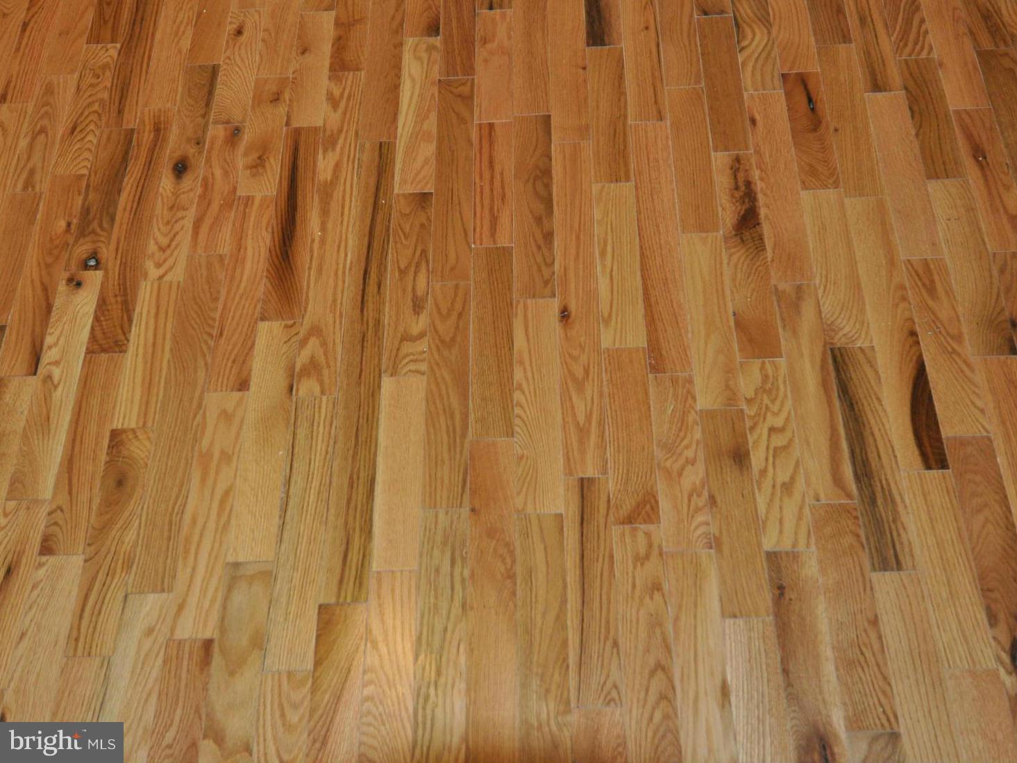 1126 Cedarcroft Road Baltimore, MD 21239 - Photo 4 of 23 a close view of curtain