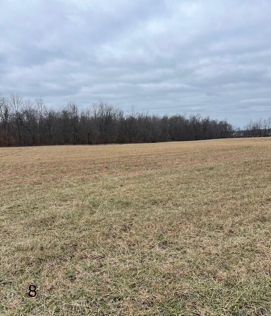 8 Dug Hill Road Brodhead, KY 40409 - Photo 1 of 6 IMG_1306